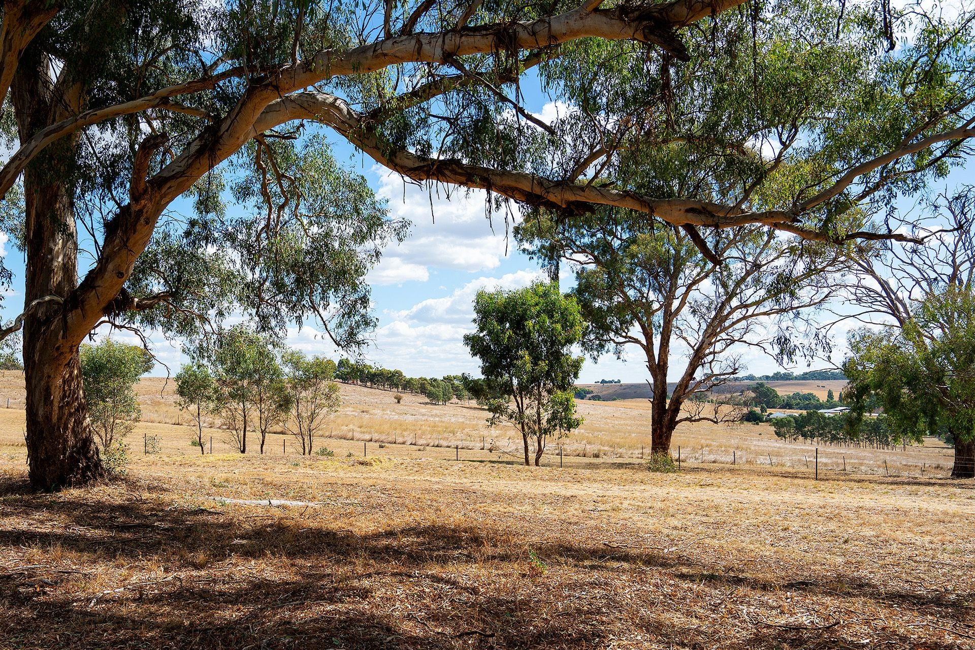 Lot 1, 24 Yapeen School Lane, Yapeen - Thumbnail 7