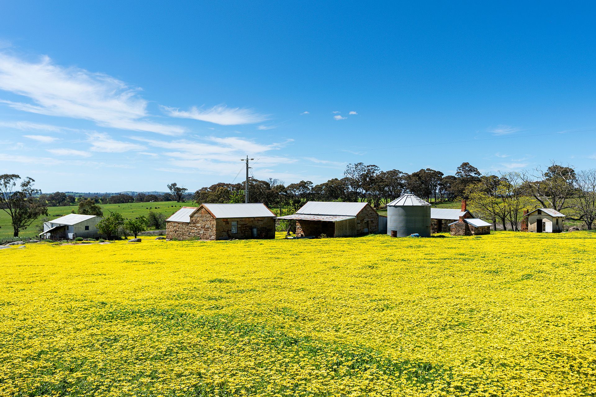 225 Nuggetty Road, Maldon - Thumbnail 2