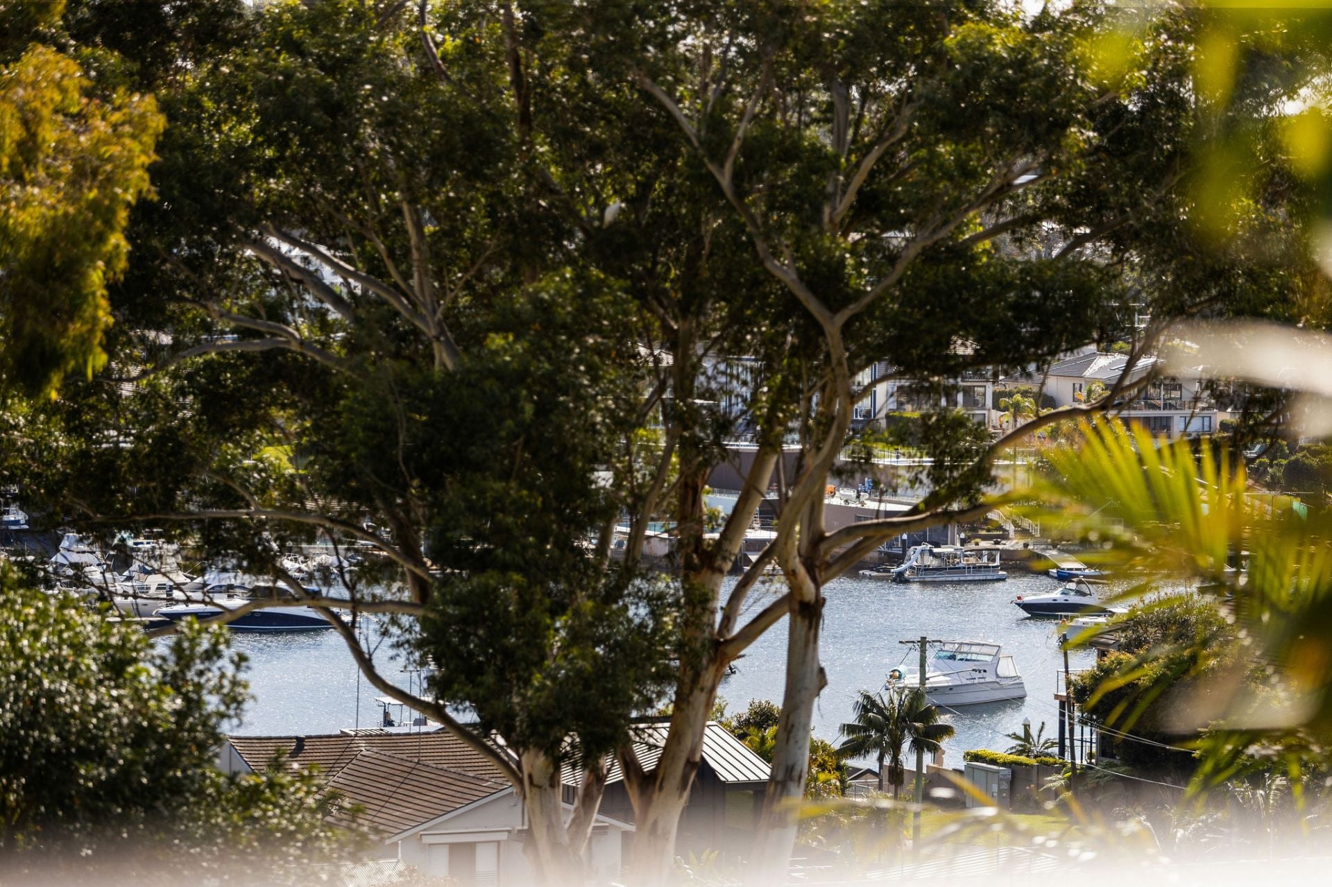 3 Bayside Place, Caringbah South NSW, Caringbah South - Thumbnail 8