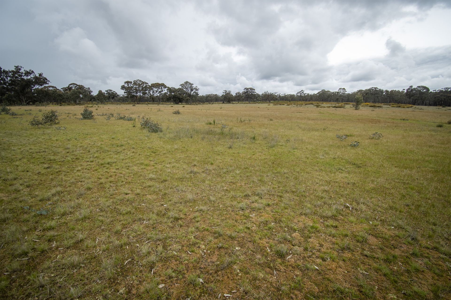 29/123 Logan Road, Alma - Thumbnail 3