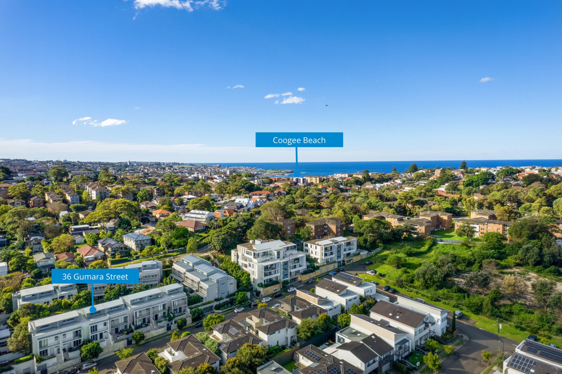 36 Gumara Street Randwick NSW, Randwick - Thumbnail 3