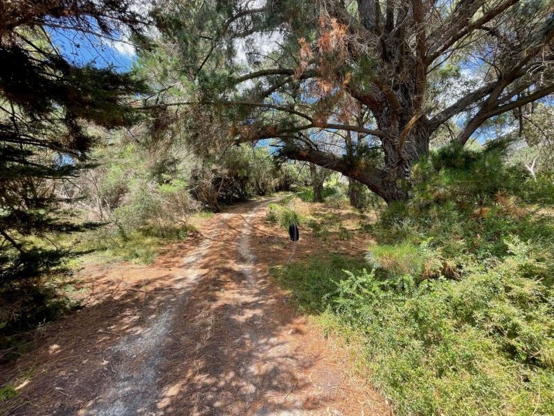 60 Louis Road, Venus Bay VIC, Venus Bay - Thumbnail 5