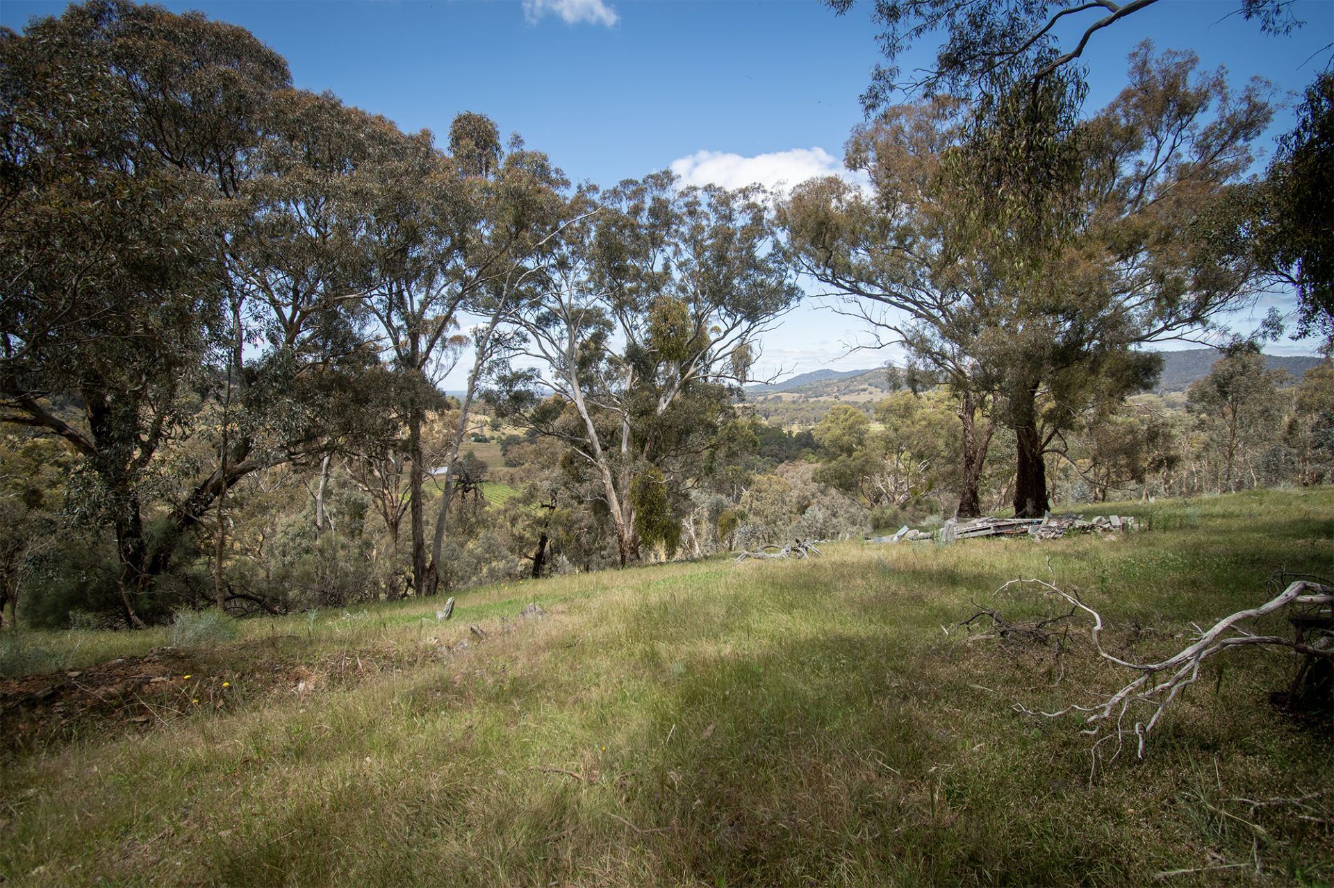 233 Tormeys Lane, Moonambel - Thumbnail 6