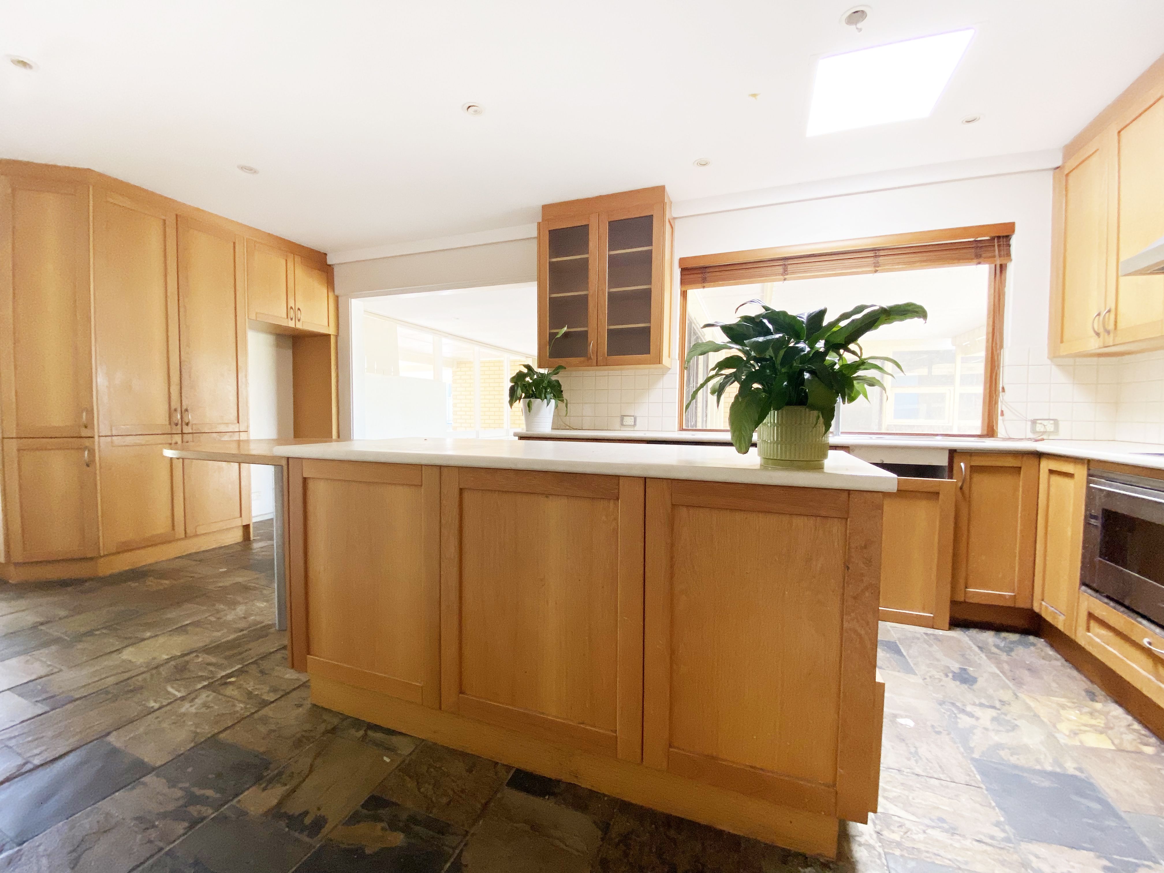 11 Pine Lodge Crescent, Grange SA 5022