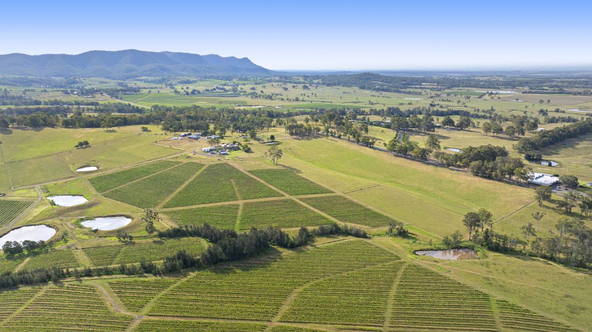 353 Oakey Creek Road, Pokolbin NSW, Pokolbin - Image 1