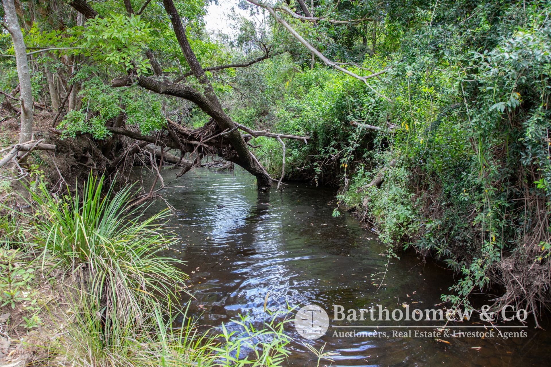 Lot 19 & 20 Koch Road Frazerview QLD, Frazerview - Thumbnail 3