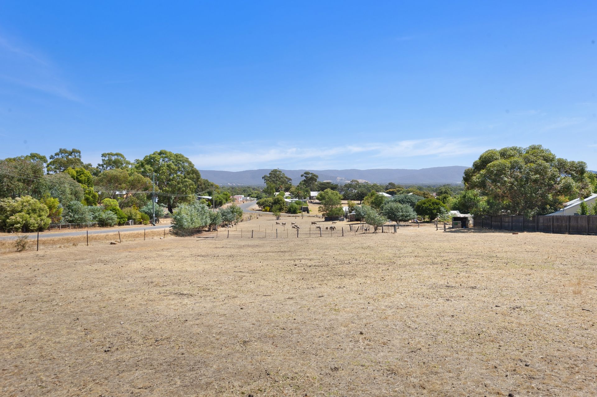 60 Pascoe Street, Avoca - Thumbnail 3