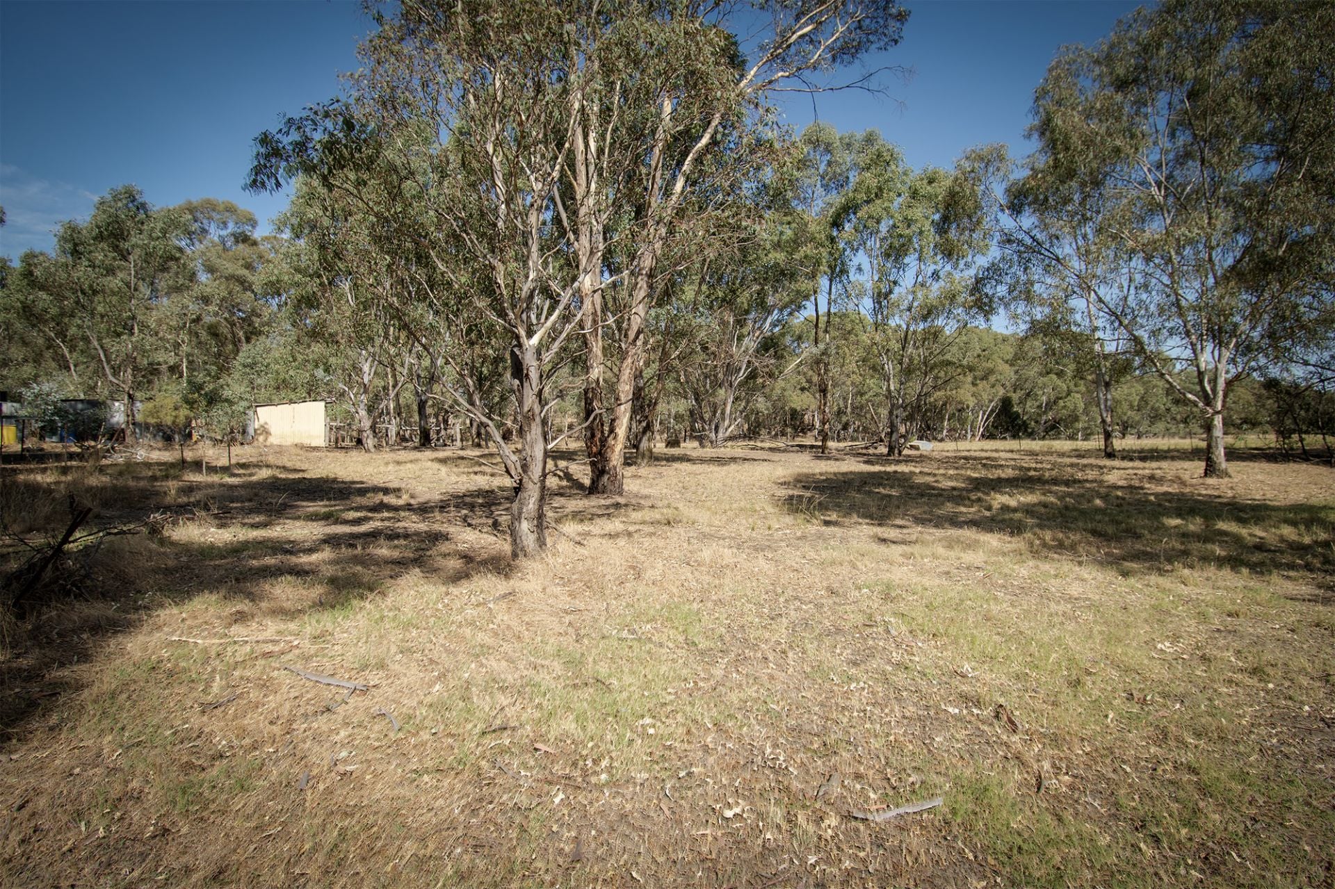1207 Dunolly- Timor Road, Timor - Thumbnail 6