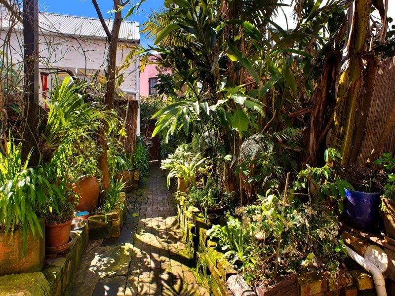134 Flinders Street Paddington NSW, Paddington - Thumbnail 6