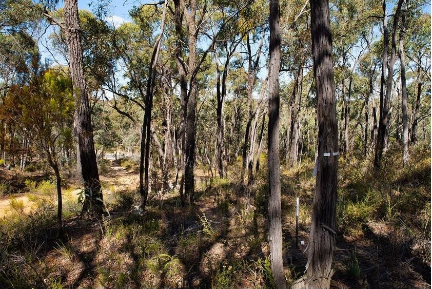 C/A 6/ Vaughan-Chewton Road, Chewton VIC 3451