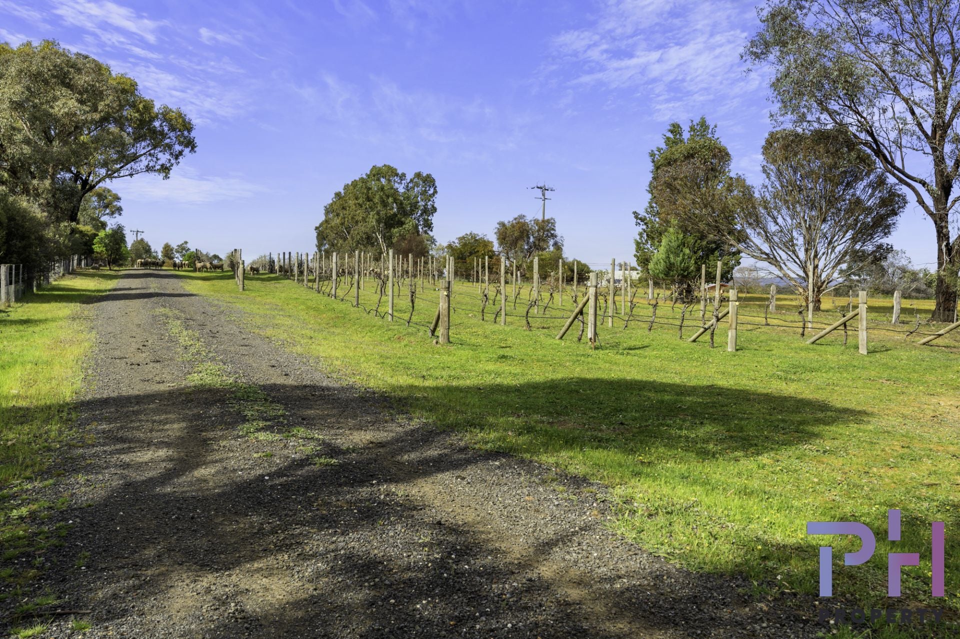 384A Sinclairs Road Strathfieldsaye VIC, Strathfieldsaye - Thumbnail 3