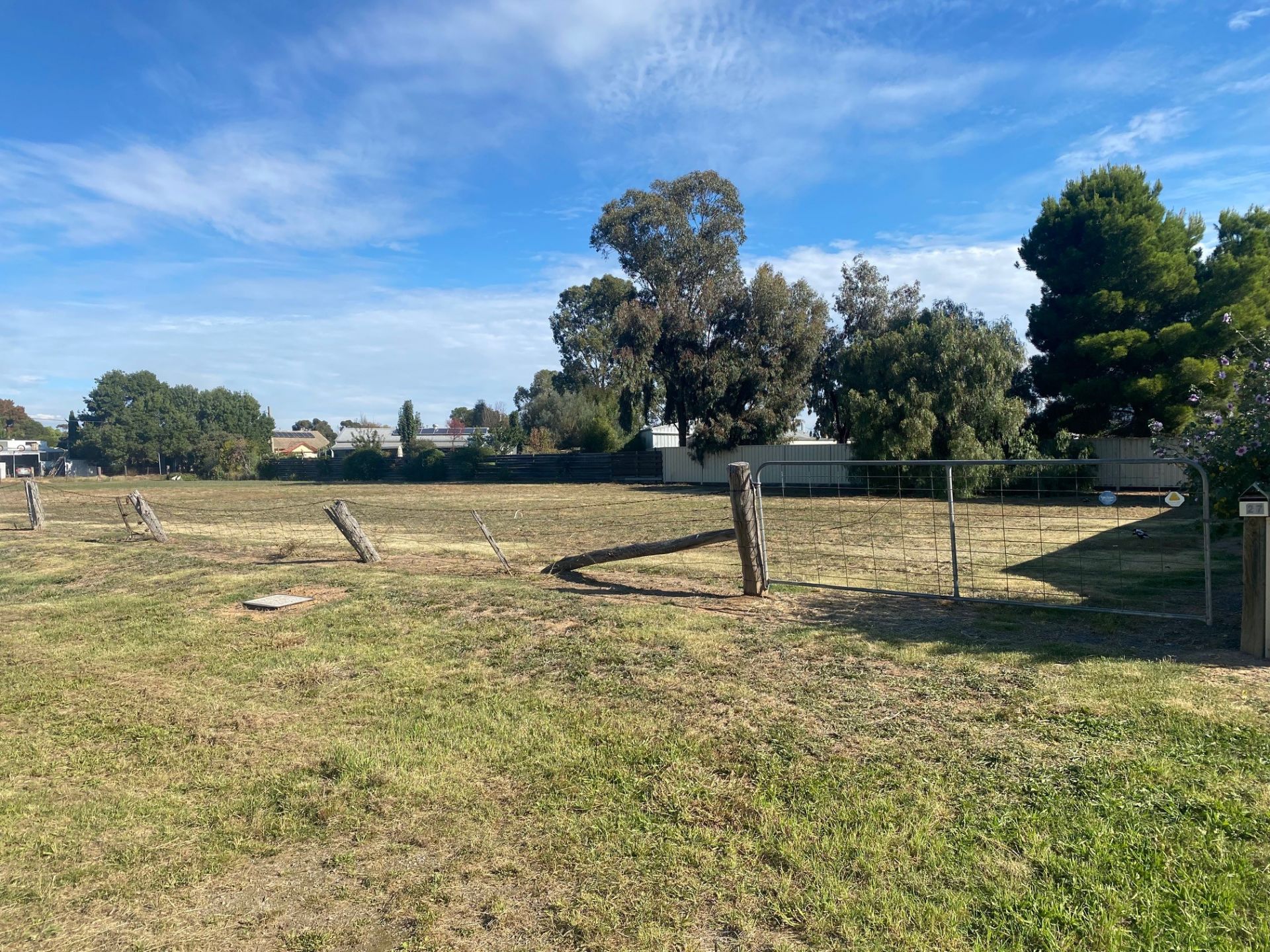 25 Birch Street, Carisbrook - Thumbnail 4