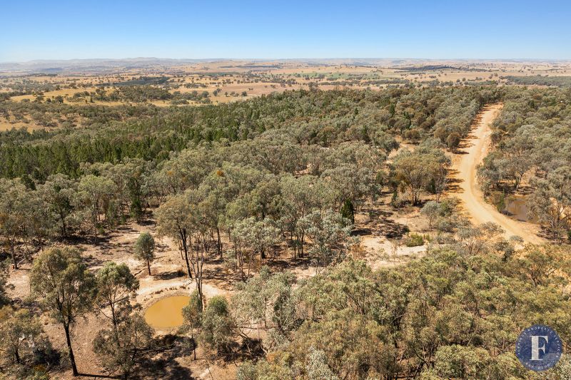 16 Caringa Road, Godfreys Creek NSW, Godfreys Creek - Thumbnail 4