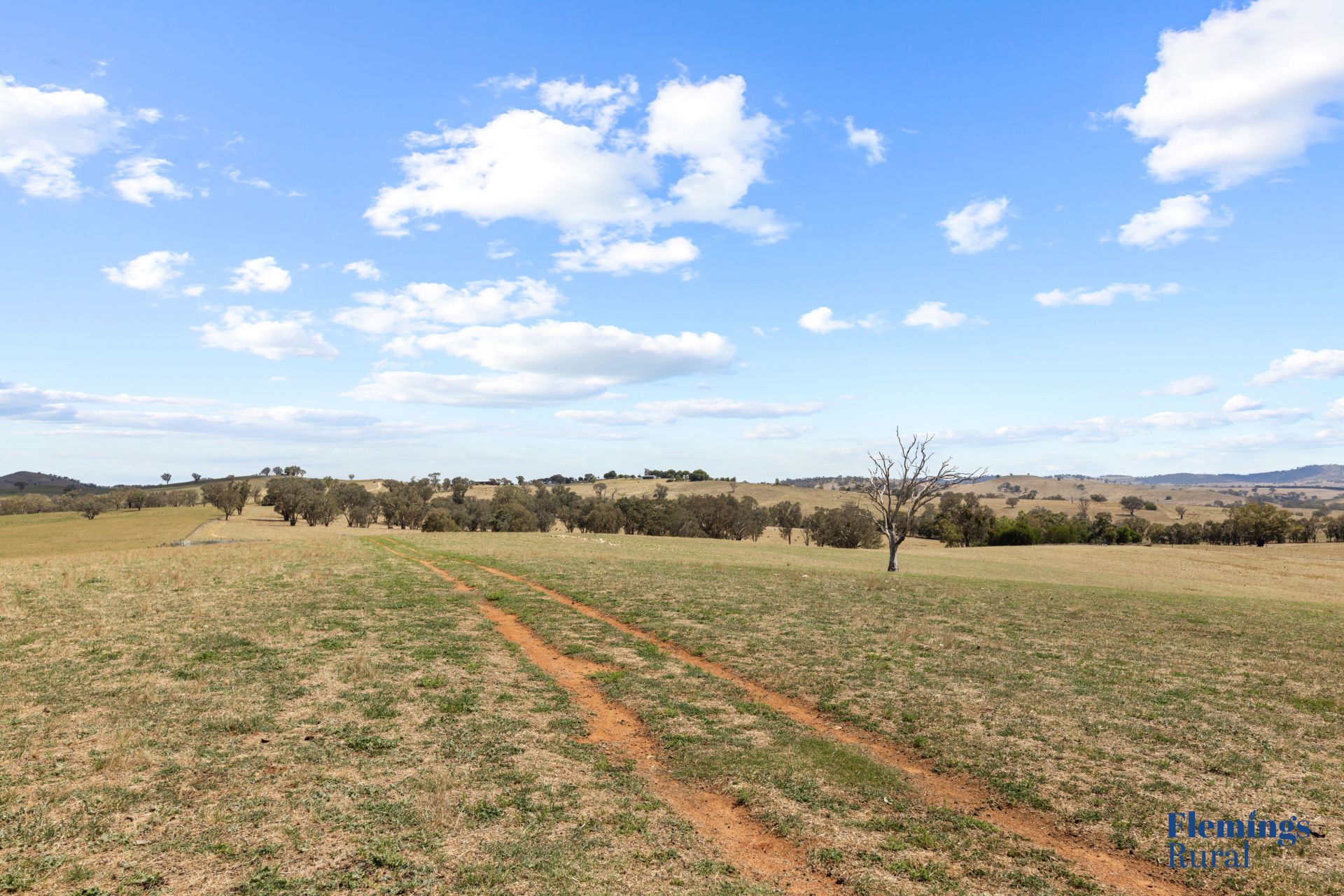 383 Roaring Rock Road, Frogmore NSW, Frogmore - Thumbnail 6
