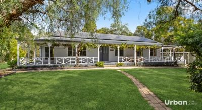 Bellbird, 89b Edden Street