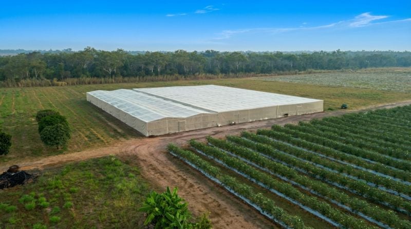 Marrakai For Sale by Farmbuy.com - image 7