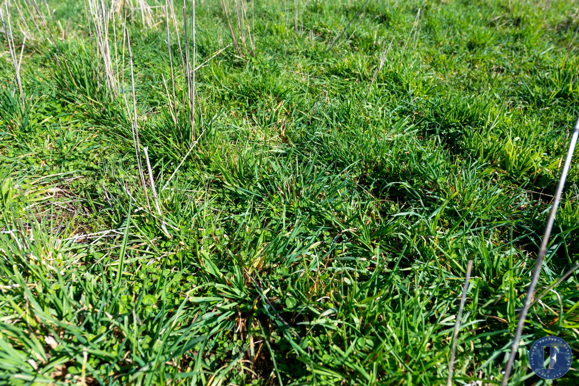 Lot 3 Milo Roads, Murringo NSW, Murringo - Thumbnail 5