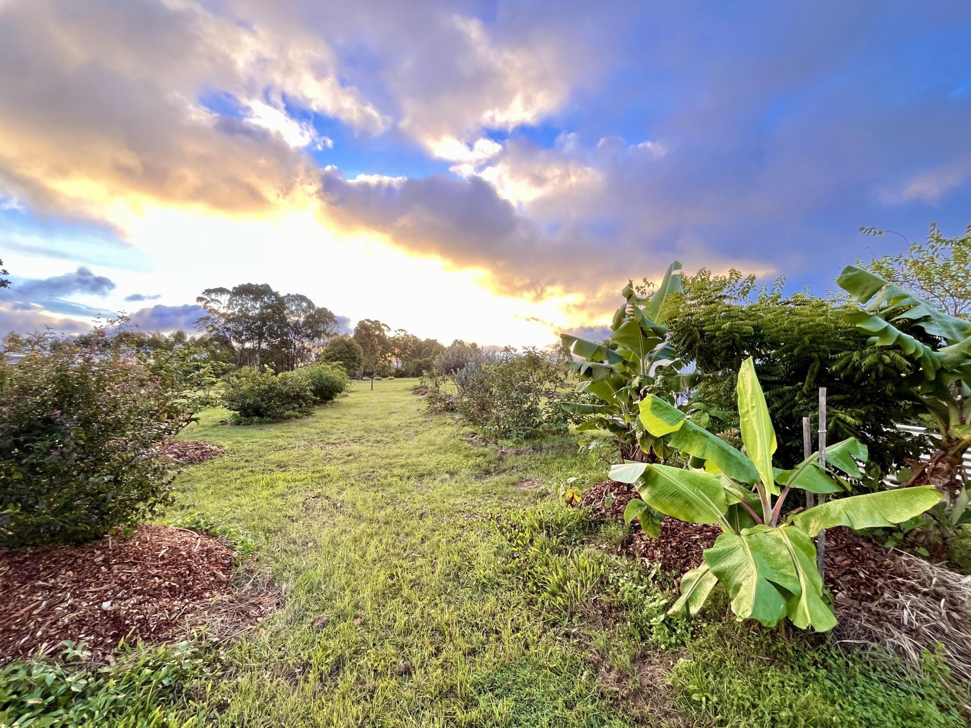 84 Gordon Earl Drive, Millstream For Sale by Farmbuy.com - image 2