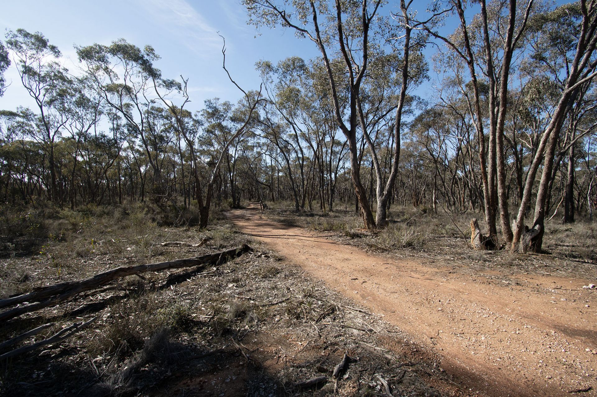 CA12 SEC 1 Moonlight Road, Moonlight Flat - Thumbnail 5