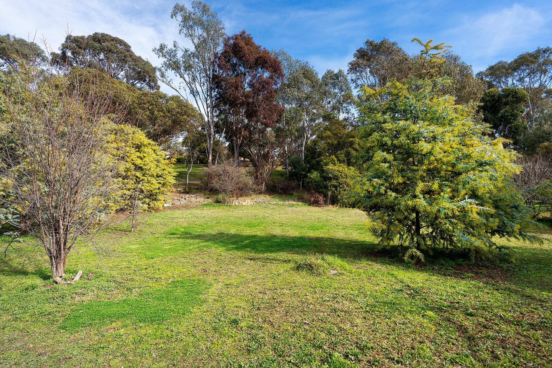 38 Elizabeth Street, Campbells Creek - Image 1