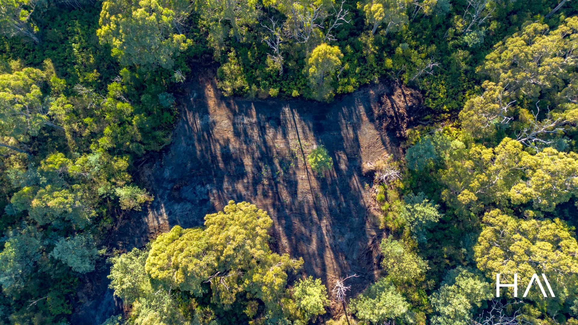 2/5560 Bridport Road Pipers River, Pipers River - Thumbnail 8