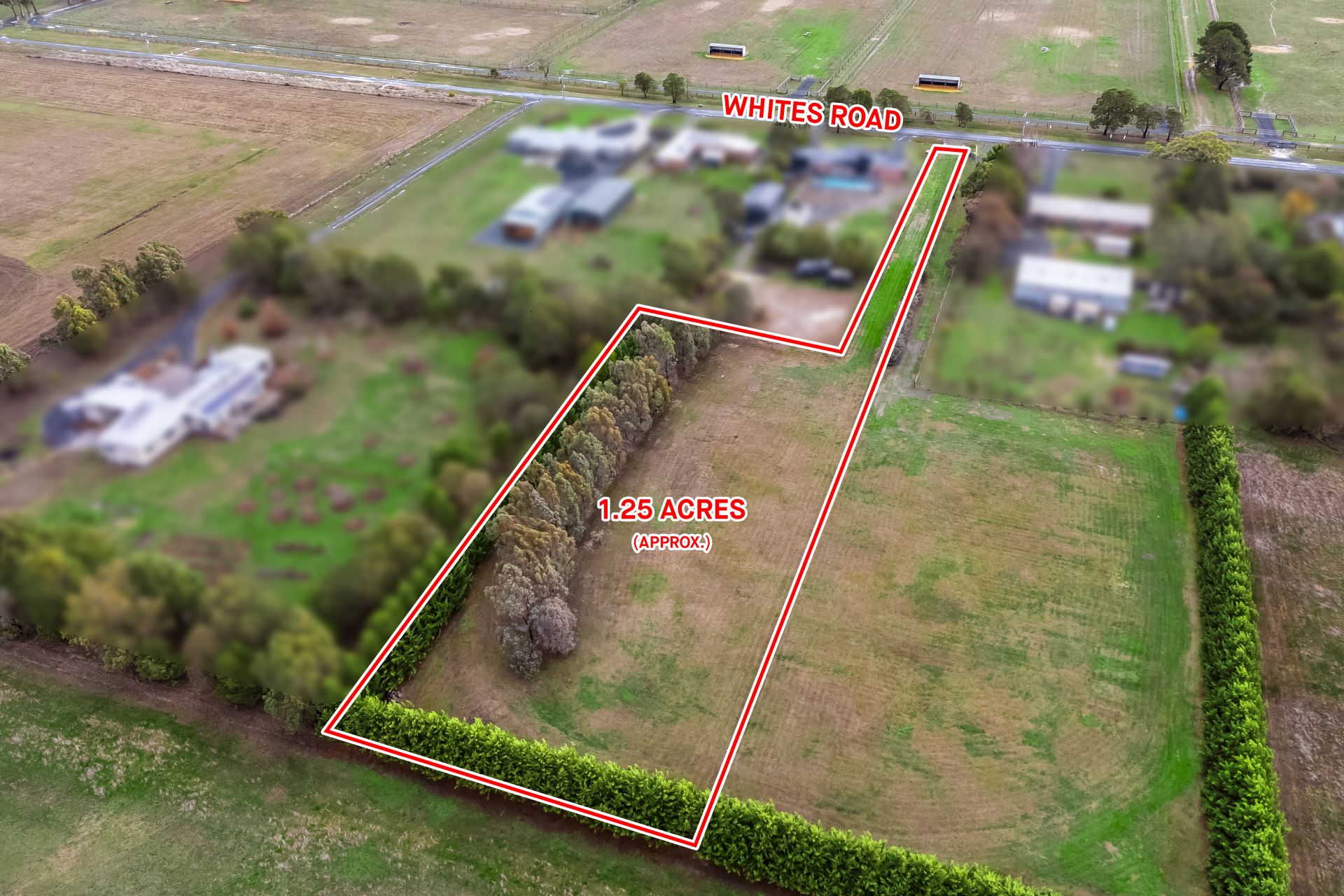 67b Whites  Road, Cardigan, Cardigan - Thumbnail 2