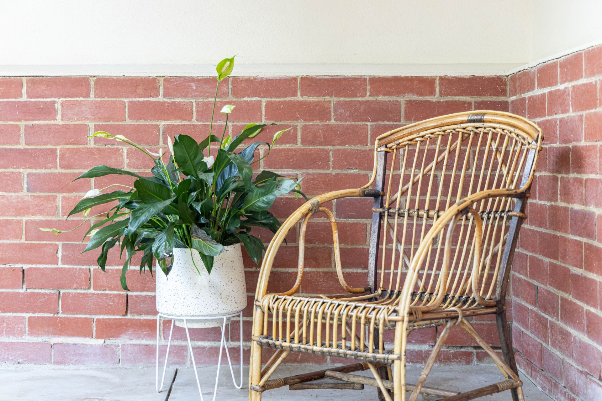 172 Williamson Street Kennington VIC, Kennington - Thumbnail 4