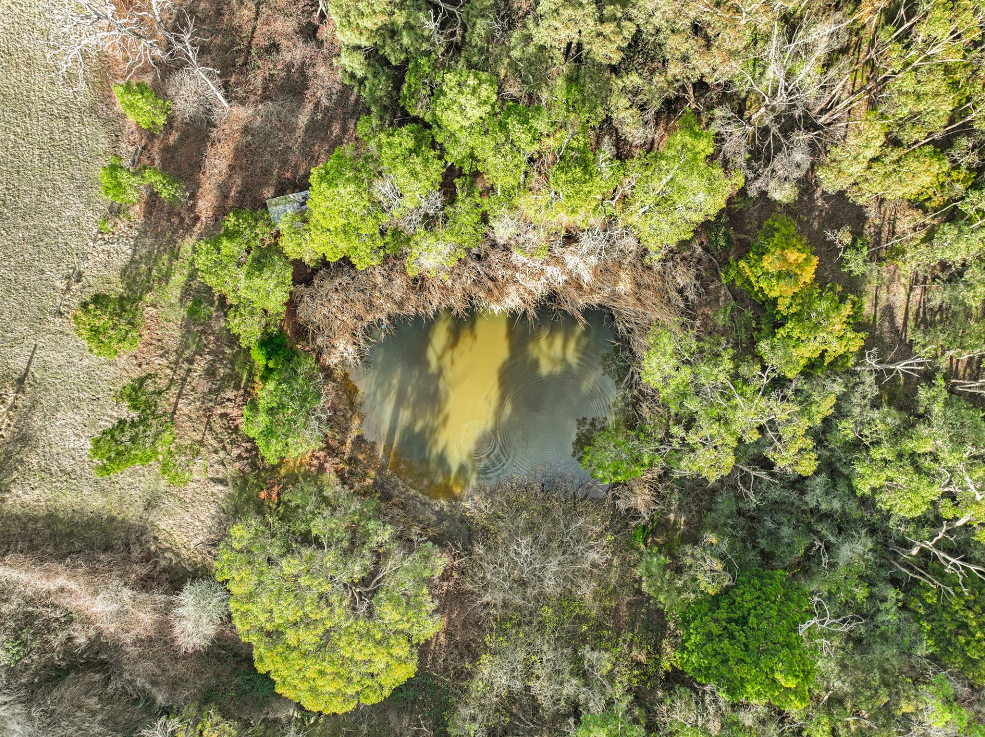 141 Smokeytown Road, Springmount, Springmount - Thumbnail 3