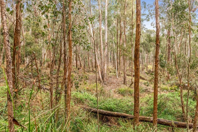 1459 Daylesford-Trentham Road, Lyonville