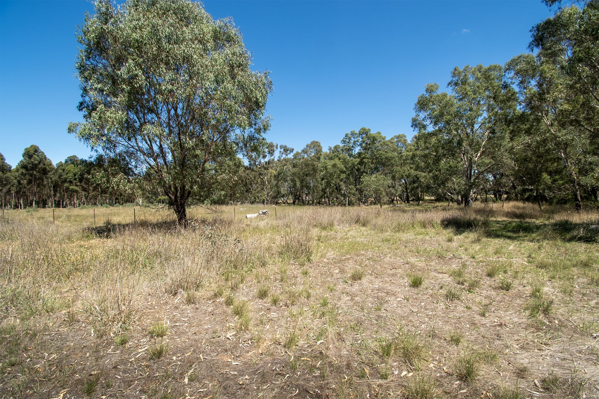29 Steele Street, Dunolly - Thumbnail 5