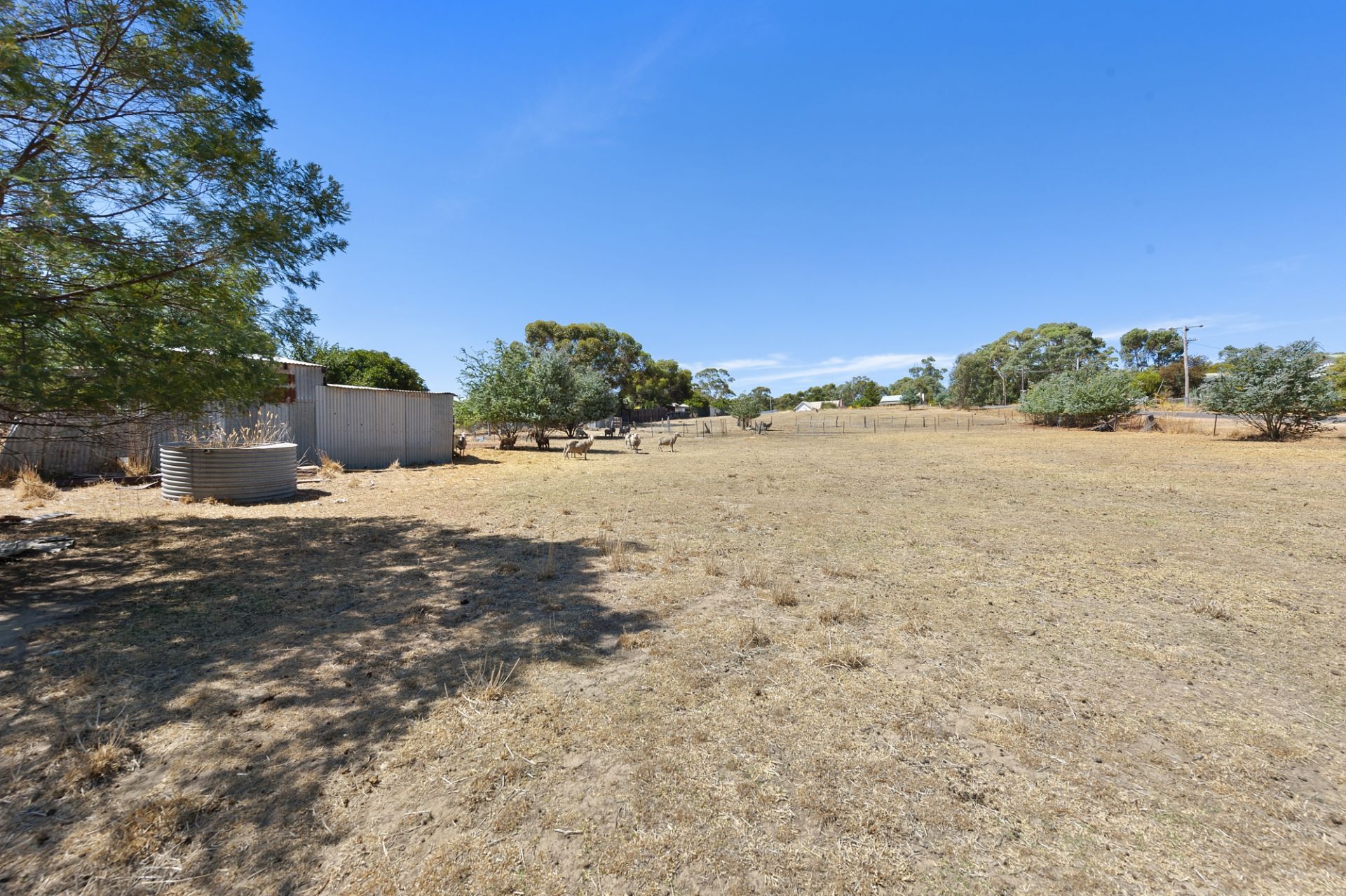 60 Pascoe Street, Avoca - Thumbnail 8