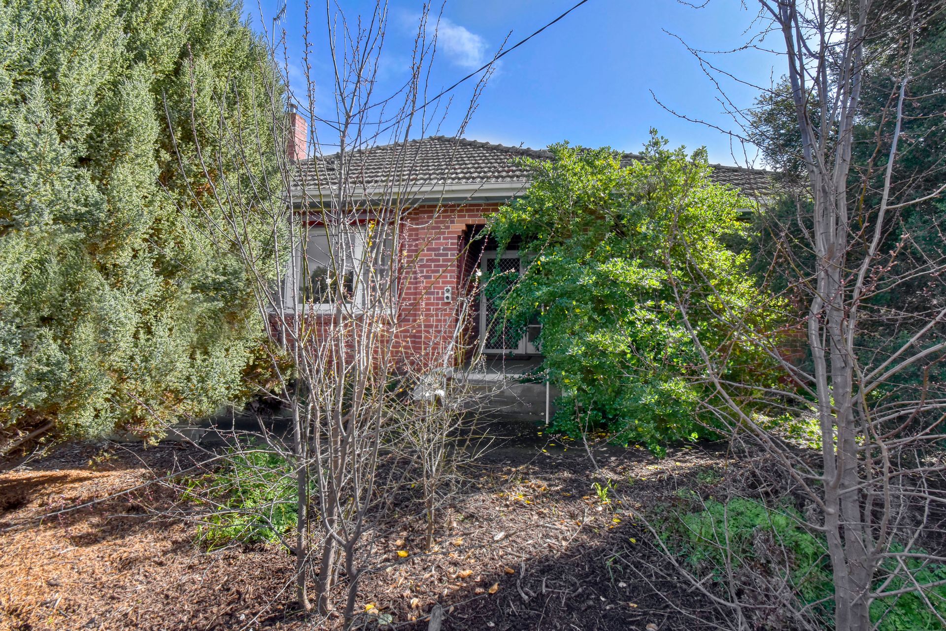 249 Gladstone Street, Maryborough - Thumbnail 8