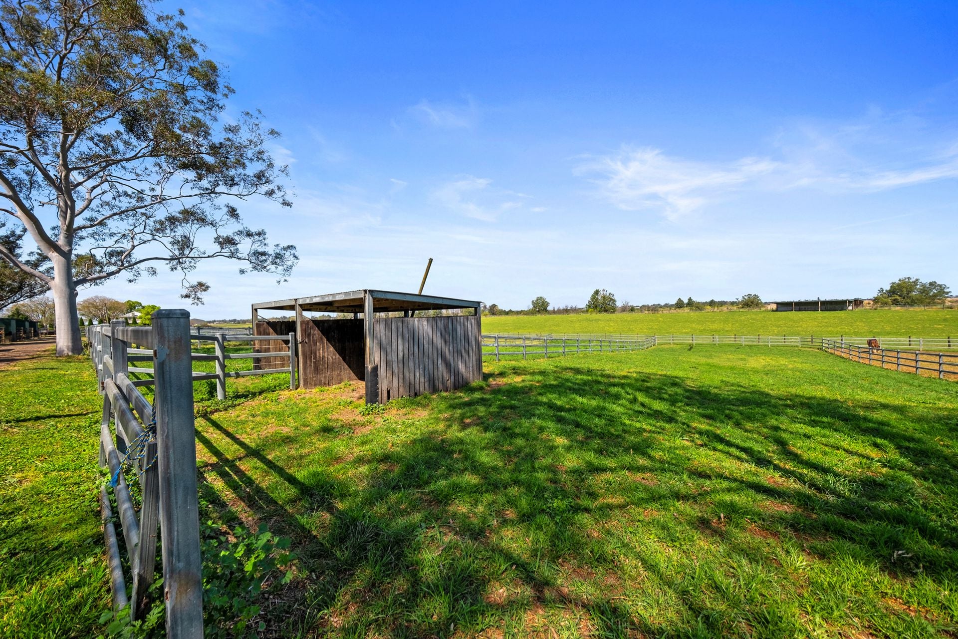 178 Hibberts Lane, Freemans Reach, Freemans Reach - Thumbnail 6
