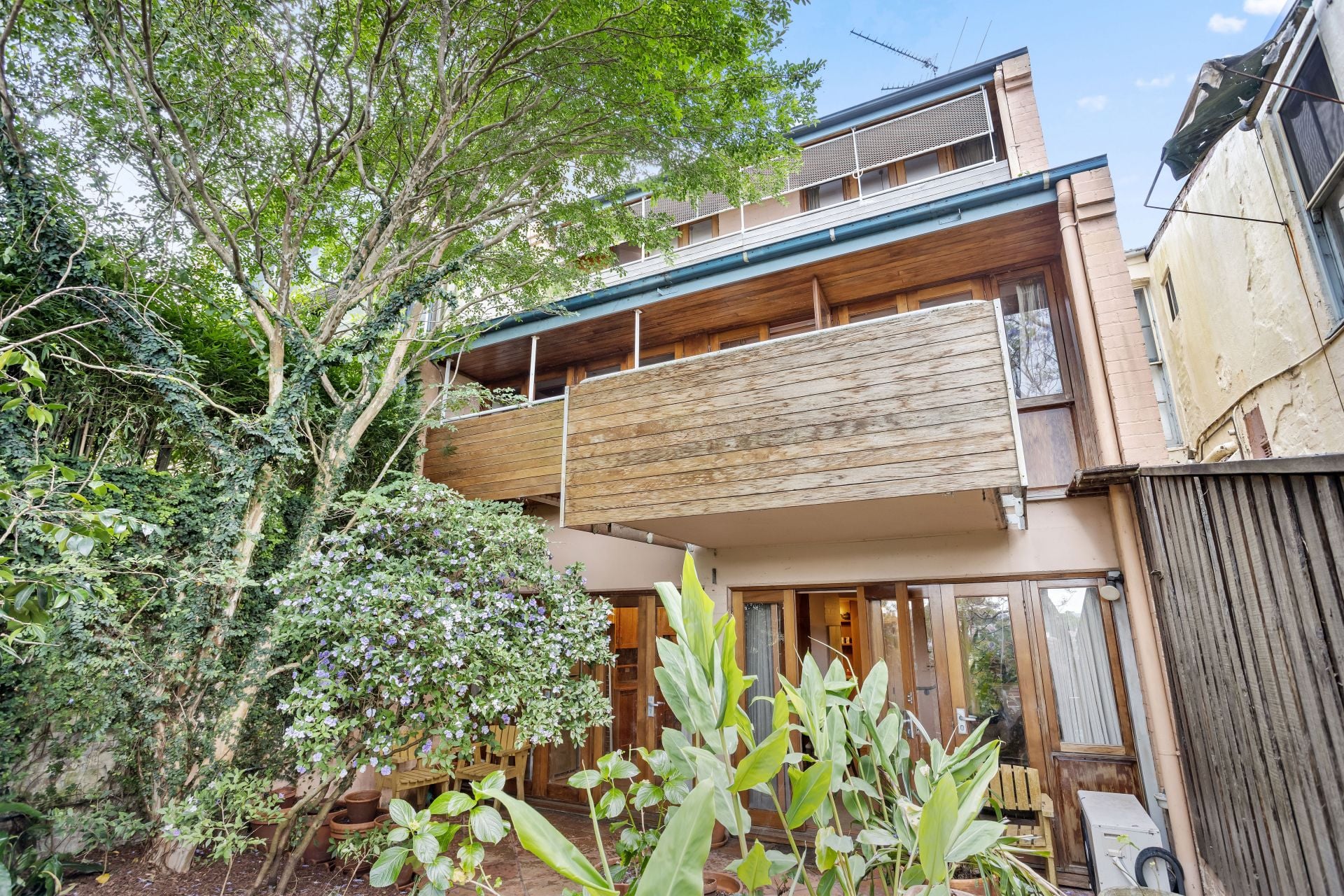 26 Thorne Street Edgecliff NSW, Edgecliff - Thumbnail 6
