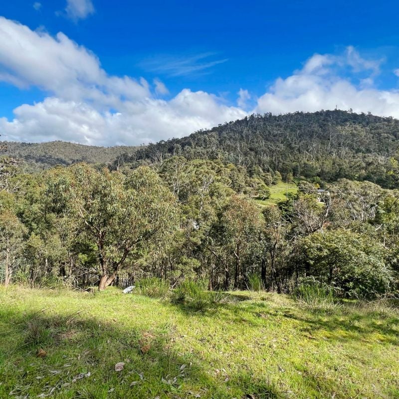 3022 Whittlesea-Yea Road Flowerdale VIC, Flowerdale - Thumbnail 2