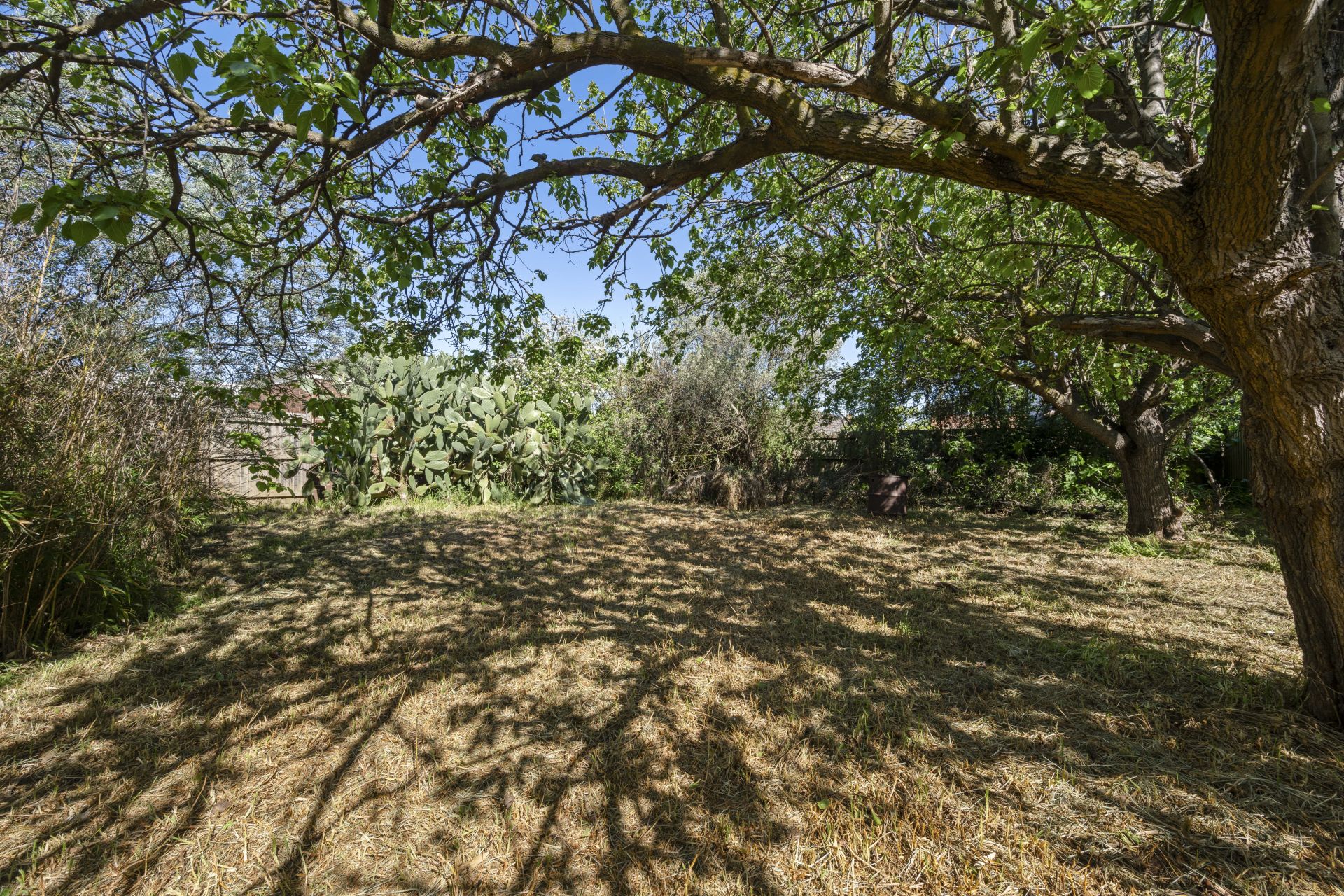 Endless Potential With This Real Estate Offering