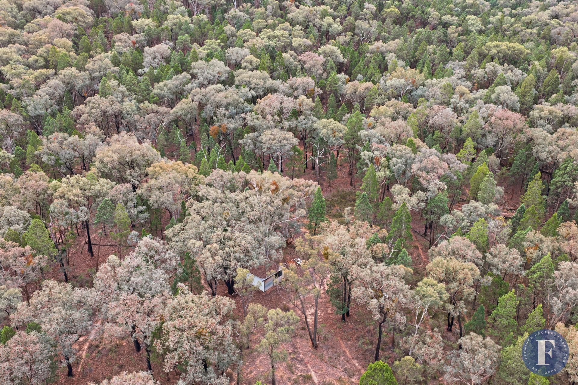 Lot 21 Stoney Hill Road, Cowra NSW, Cowra - Thumbnail 4