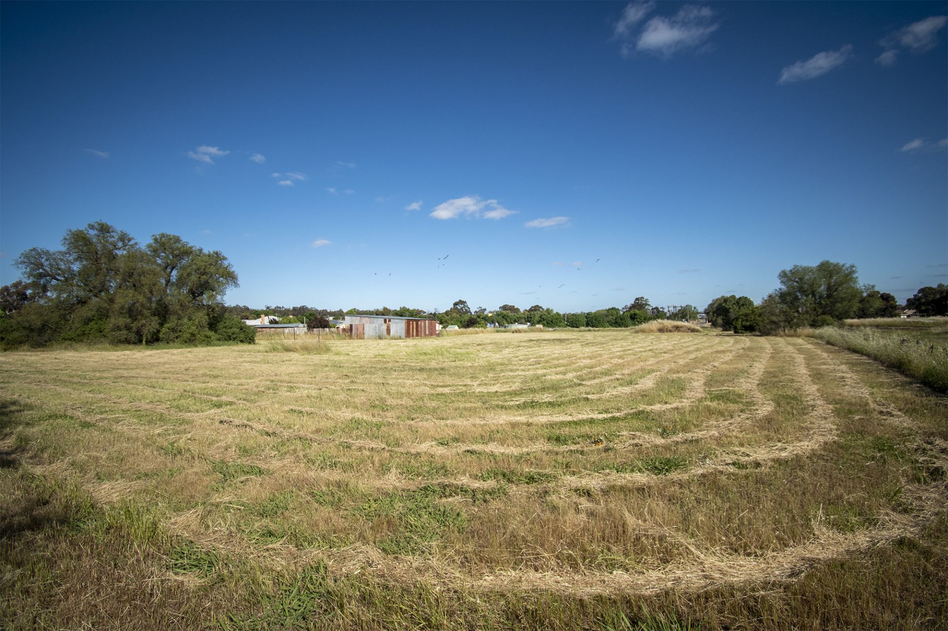 1 REAR/93 Maude Street, Dunolly - Thumbnail 6