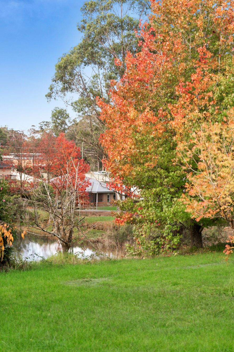 1 Jasmine Street, Colo Vale, Colo Vale - Thumbnail 6