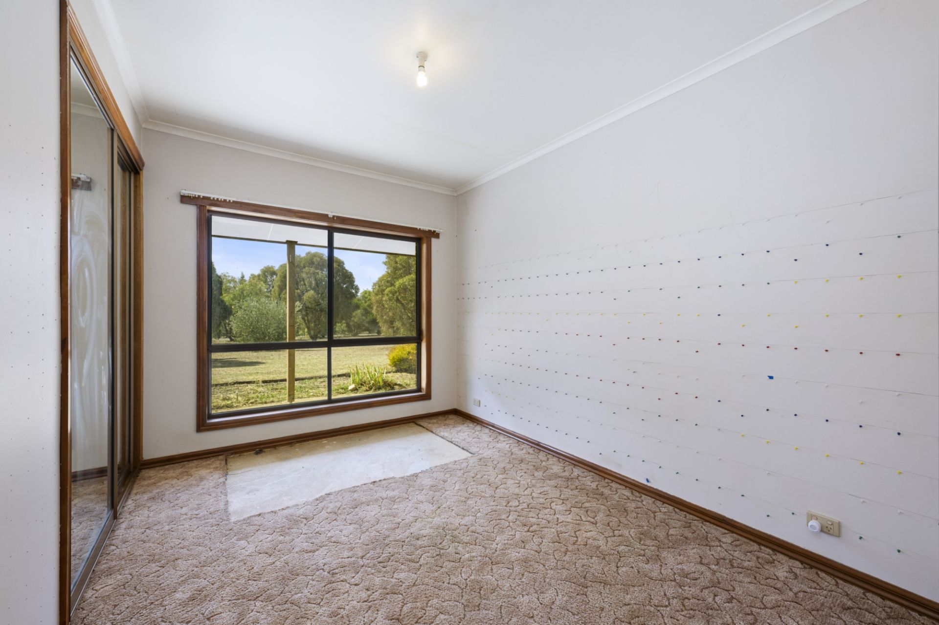 70 Menzies Drive, Daisy Hill - Thumbnail 7
