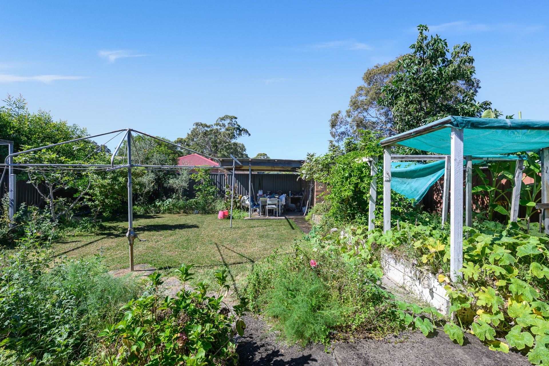 113 Lambeth Street Panania NSW, Panania - Thumbnail 8