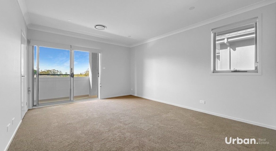 Austral 44 Filly Road