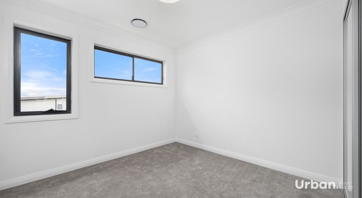 Oran Park 36 Brangus Loop