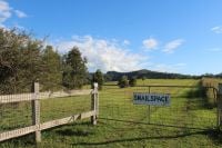 4/4200 Giinagay Way URUNGA NSW