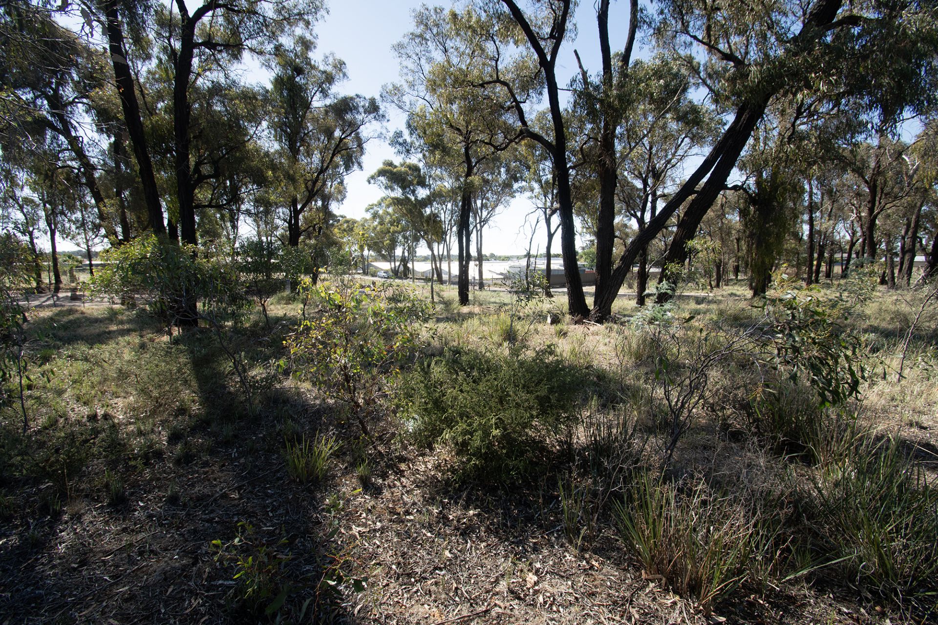 20 McPherson Avenue, Maryborough - Thumbnail 6
