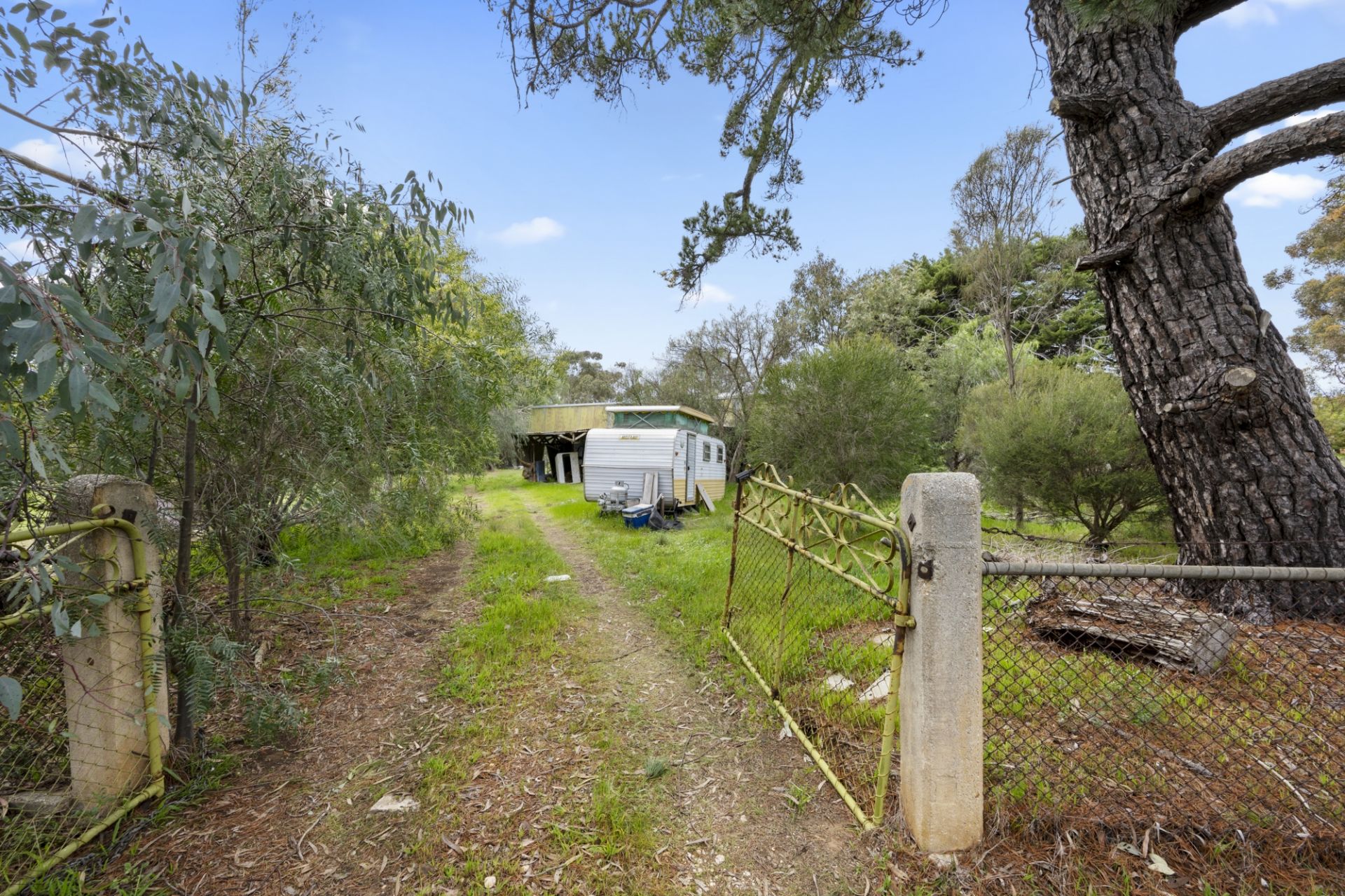 75 Playfair Street, Eddington - Thumbnail 3