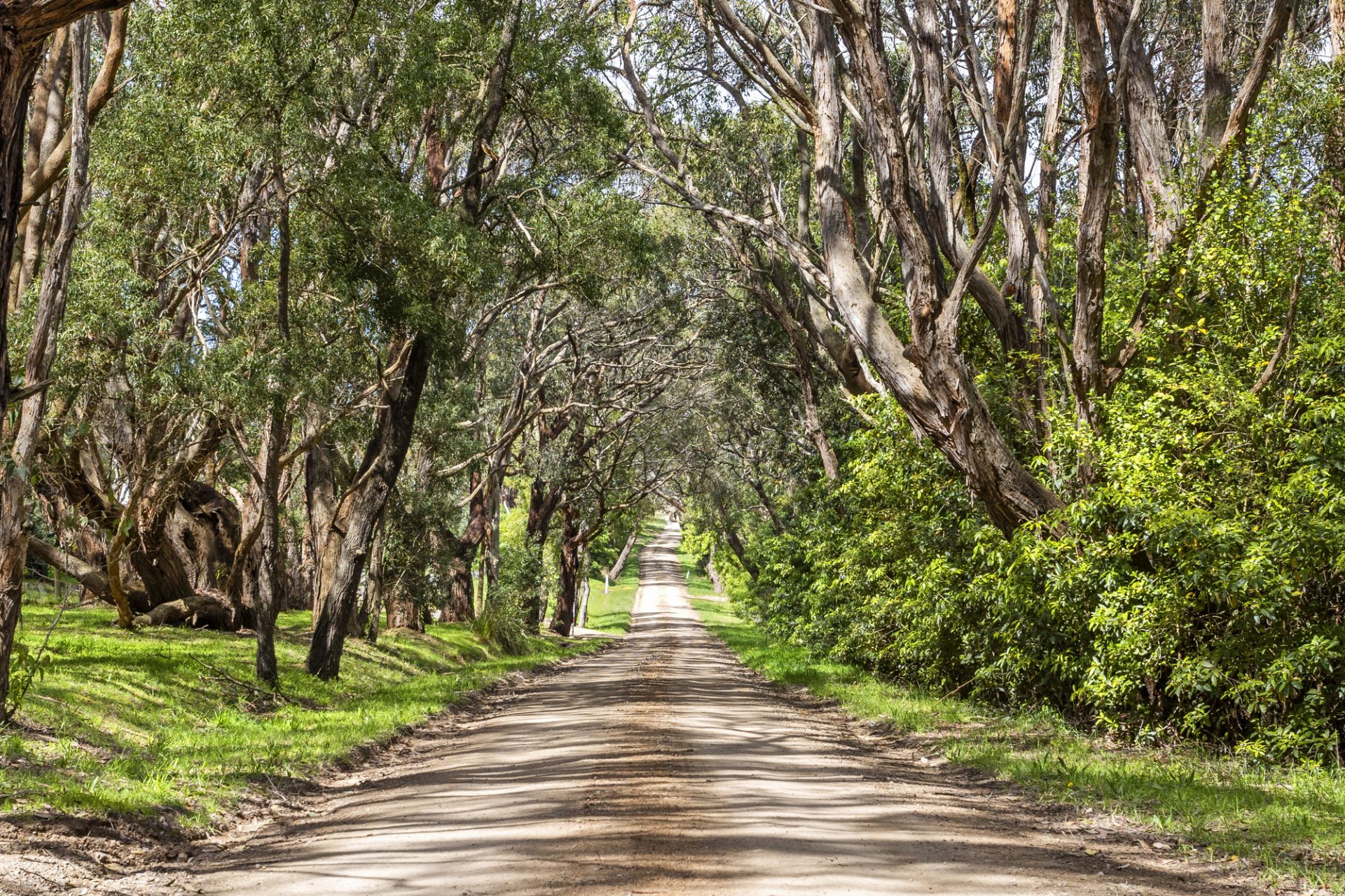 51 Whitehall Road, Flinders, Flinders - Thumbnail 3