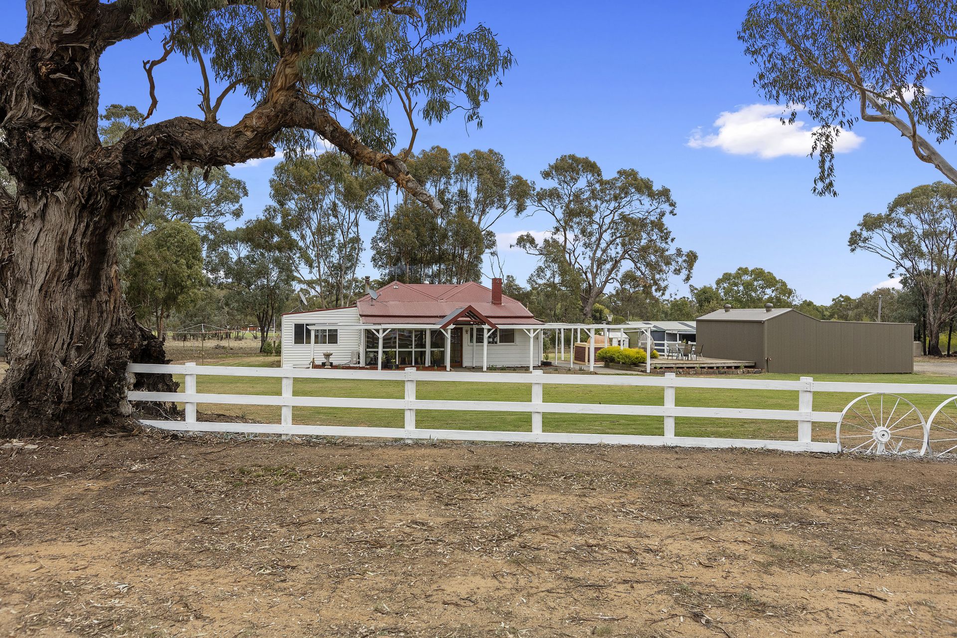 545 Tranter Road, Toolleen, Toolleen, Toolleen - Thumbnail 4