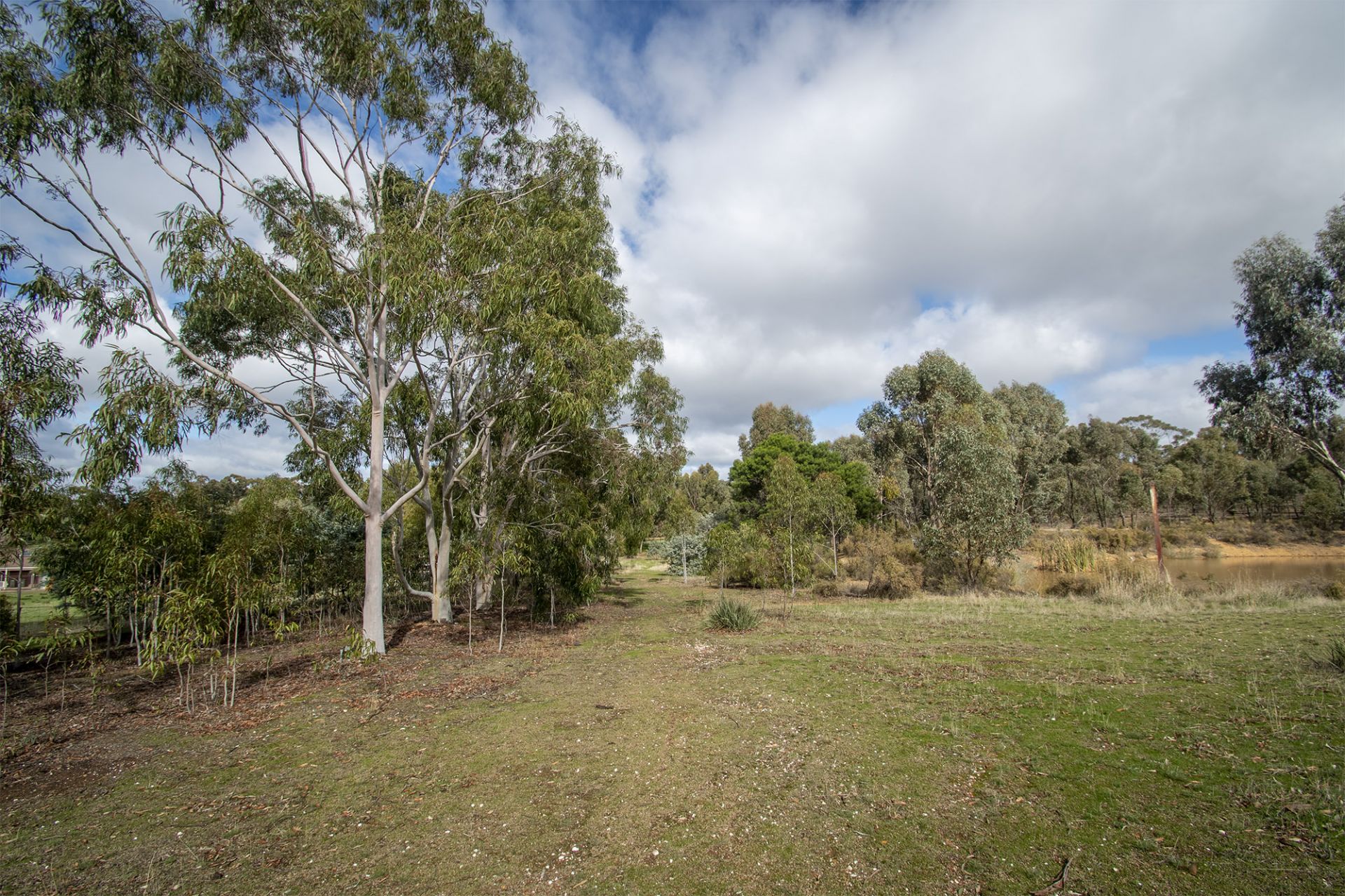 48 Griffiths Street, Maryborough - Thumbnail 7