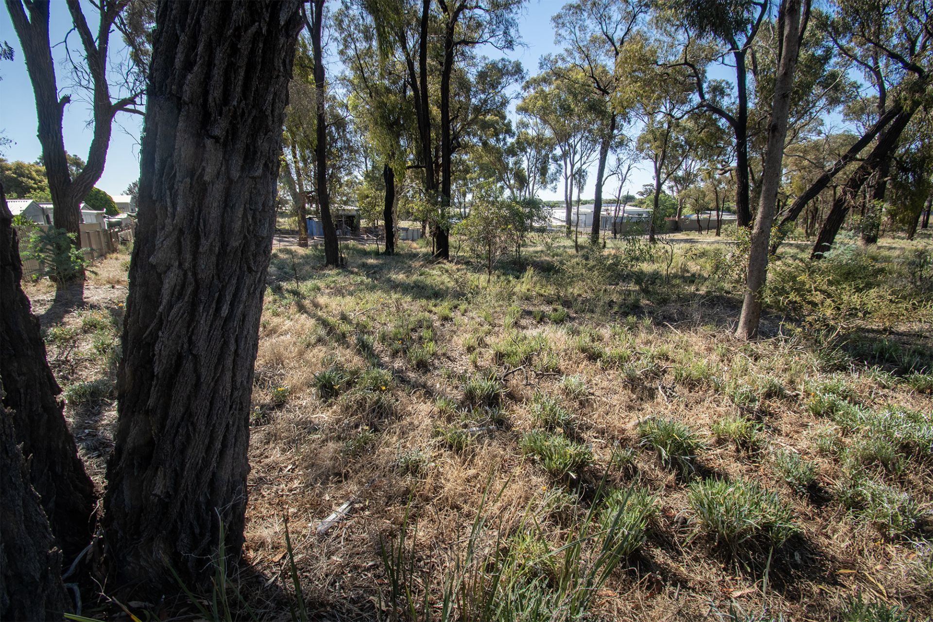 20 McPherson Avenue, Maryborough - Thumbnail 8
